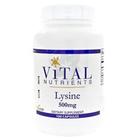 Nutriments essentiels Lysine