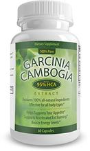 95 % HCA Garcinia Cambogia extrait