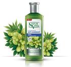 Shampooing antipelliculaire -