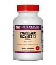 Pancreatic Enzymes 4x -
