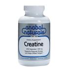 Anabol Naturals Creatine 500 mg -
