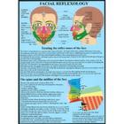 Réflexologie faciale (Affiche)