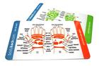 Lot de 5 Cartes de Réflexologie