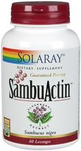 Solaray - Sambuactin extrait de