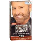 Just For Men Touch of Grey