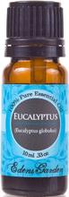 Eucalyptus 100% Pure Huile