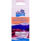 Anti-nausées Gum Ginger 24 temps