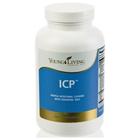 YOUNG LIVING ICP 8 oz