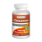 Best Naturals Cinnamon 1000 mg de