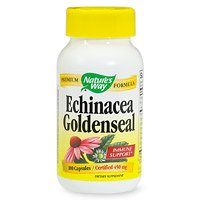 Echinacea manière de la nature et Goldenseal, 100 Capsules