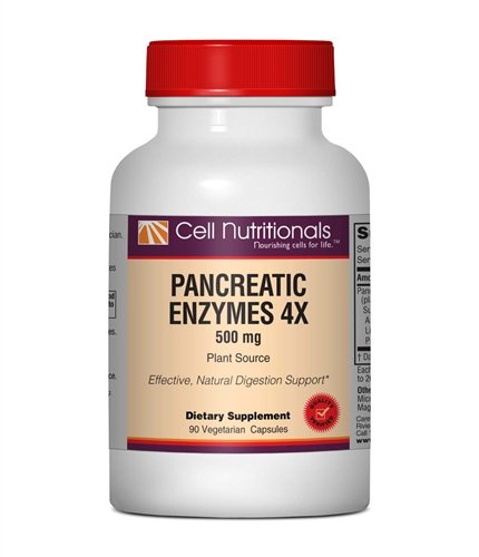 Pancreatic Enzymes 4x - Vegetarian, 500mg, 90 Veg Capsules