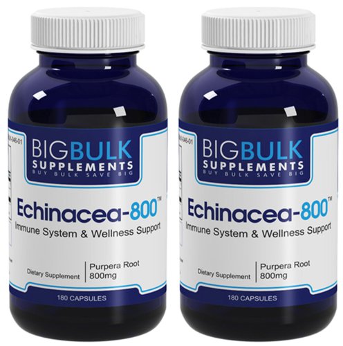 Echinacea-800 Puissant bloc de soutien des systèmes immunitaire Echinacea Big suplements 800mg 360 Capsules 2 Bouteilles