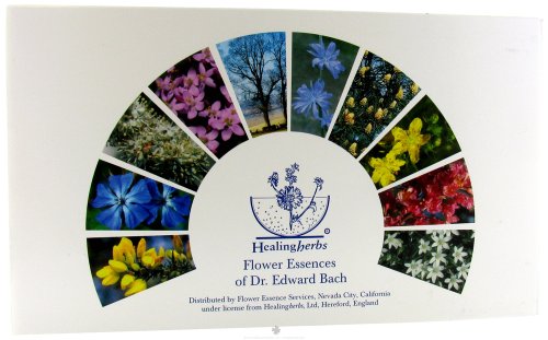 Healing Herbs Kit - 40 pc, (Services d'essence de fleur)