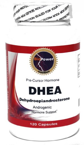 La déhydroépiandrostérone DHEA 100mg 120 Capsules