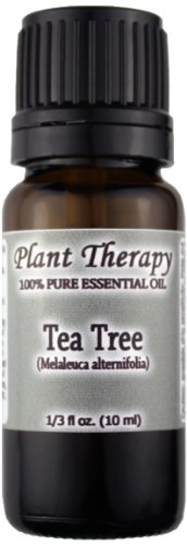 Tea Tree (Melaleuca) Huile Essentielle. 10 ml. 100% Pure, non dilué, de grade thérapeutique.