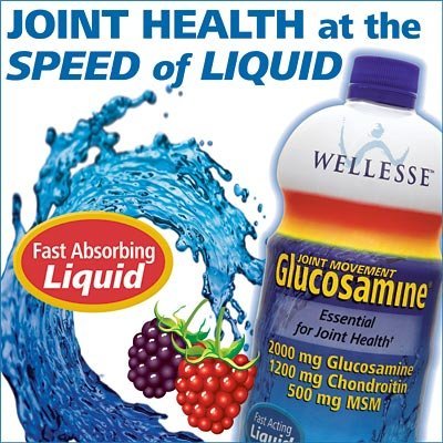 Wellesse conjointe Mouvement Liquid glucosamine avec chondroïtine 33,8 Onces