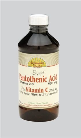 Dynamique Acide pantothénique Santé (500 mg Vitamine B5) Plus Vitamine C (250 mg) avec églantier et bioflavonoïdes, base de citron vert, 8-once