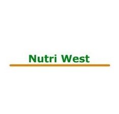 Nutri-Ouest - L-GLUTAMINE PLUS -90 onglets