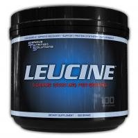 Serious Nutrition Solutions Leucine - 500 grammes