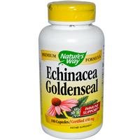 Echinacea manière de la nature et Goldenseal, 450 mg, 180 Capsules