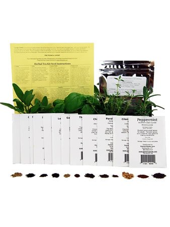 Medicinal Herb Seed Mix - Healing Herb Seeds - Valerian Cayenne Yarrow Plus