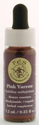 Services Flower Essence (FES) - Millefeuille rose - FES Quintessentials Essences Fleur 1/4 oz