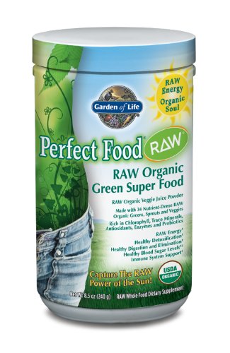 Garden of Life Perfect Food Raw Organic poudre Supplément nutritionnel, 240 grammes
